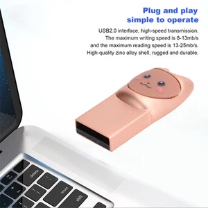 Portable USB2.0 Flash Drive High‑Speed Transmission Cute Memory Stick Novelty FY - Afbeelding 1 van 30