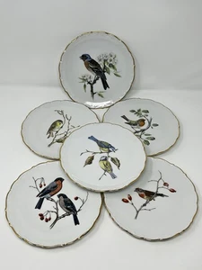 Set of 6 Schumann Arzberg Bavaria Bird Plates 7.5” Golden Crown E&R 1886 Germany - Picture 1 of 17