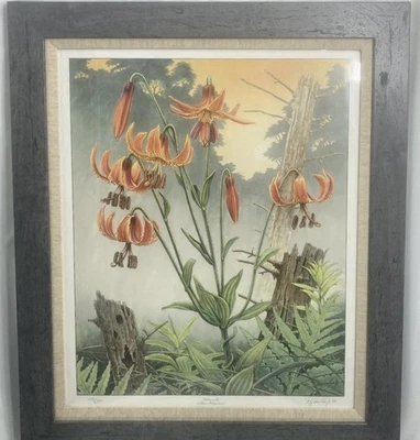 VanLoo Print Vintage Botanical Michigan Signed Lily 1998 22.5 X 26.5 Roy Jr. - Image 1 of 4