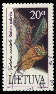 LITHUANIA 500 - Common Noctule Bat "Nyctalus noctula" (pa79622) - Picture 1 of 1