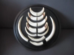 Wildschweinzähne auf einen Holzbrett drauf - Bild 1 von 3