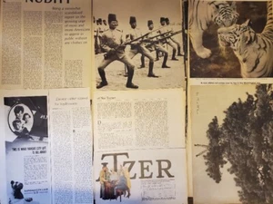 Vintage 1960s Editorial Content Illustrations for Junk Journal Scrapbook Art - Picture 1 of 20