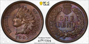 1905 Indian Head Copper Cent 1C PCGS MS 63 BN CAC (Purple/Blue Toning!!!) - Picture 1 of 6