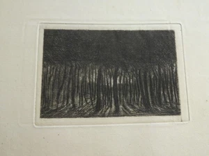Henri GUERARD 1846-1897 EAU FORTE PAYSAGE CLAIR OBSCUR IMPRESSIONNISME 1875 - Imagen 1 de 5