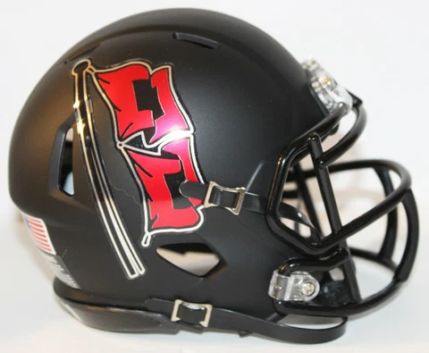 2018 Tulsa Golden Hurricanes Custom Riddell Mini Helmet vs USF Cover