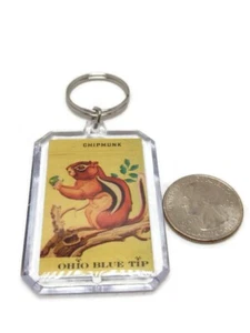 Llavero ardilla punta azul Ohio cubierta de cerilla vintage reutilizado  - Imagen 1 de 2