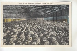 Cotton in New Municipal Steel Shed Mobile AL - Bild 1 von 1