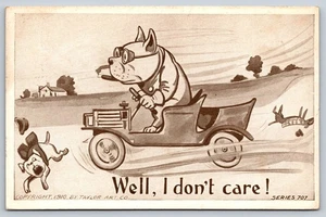 Well I Dont Care Postcard 1910 Dog Driving Car Anthropomorphic Humor Comic - Picture 1 of 3