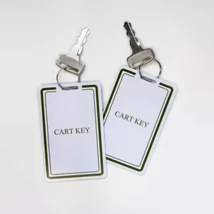 Yamaha Golf Cart Key Set with Key Tags - Picture 1 of 2
