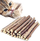 10 PCS Catnip Sticks Organic Cat Chew Toys Natural Plant Matatabi Silvervine