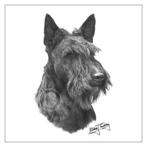 Mike Sibley Scottish Terrier Scottie perro raza tarjeta de felicitación feliz cumpleaños mamá - Imagen 1 de 3