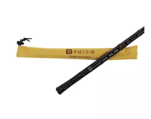 TRADITIONAL KOREAN FLUTE "SOGEUM" EASY SOGEUM MADE OF PLASTIC FOR BEGINNER - Picture 1 of 3
