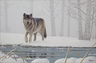 FRASE ORIGINAL PAINTING GRAY WOLF  WILDLIFE ART WINTER BIRCH Duck Stamp Artist - Image 1 of 2