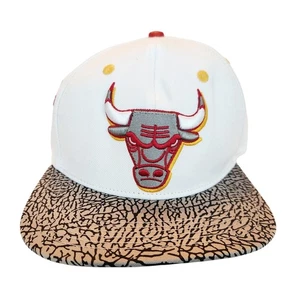 NBA Chicago Bulls Pro Standard 2-tone Special Script Laney 6-Time Champion - Bild 1 von 7