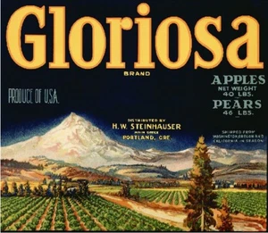 Portland Oregon Gloriosa Apple Apples Pears Pear Fruit Crate Label Vintage Print - Picture 1 of 1