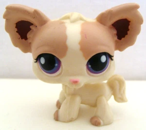 Littlest Pet Shop Chihuahua Dog Figurine #438 - Picture 1 of 3