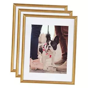 Adlynn Wall Picture Frame Set, 14" x 18" matted to 14x18 matted to 11x14 Gold - Picture 1 of 7