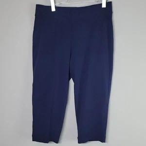 Lands End kurze Hose zum Überziehen blau Gr. Large 14-16 Reißverschlusstasche Baumwolle Elasthan - Bild 1 von 8