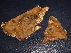 Stromatolite fossil slab-2 pieces-rough-cabbing-display ,science - Picture 1 of 3