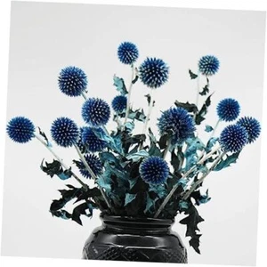 20+ Balls Dried Blue Thistle Flowers Bouquet - 15" Preserved Echinops Globe - Picture 1 of 8
