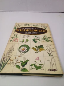 The Woman's Day Book Of Wildflowers Jean Hersey Hardcover 1976 - Imagen 1 de 6