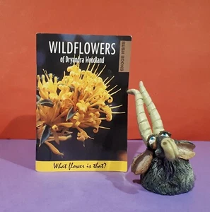 Jonica Foss: Woldflowers of Dryandra Woodland (Bush Books) botany/field guides - Picture 1 of 1
