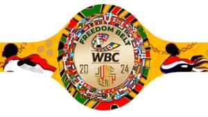 WBC JUNETEENTH 2024 Freedom Belt Boxing Wrestling Championship Belt Replica - Picture 1 of 2