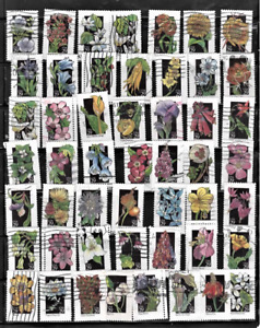 USA  used Stamps 1992  Wildfowers  50 out of 50 The Scan are the Stamps Fine