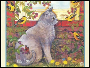 Greeting Card - Cat Kitten - Amy Rosenberg - Any Occasion 0953 - Picture 1 of 2