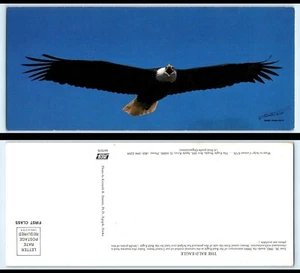 Vintage OVERSIZE Postkarte - Weißkopfseeadler, 200. Jahrestag als Nationalsymbol  - Bild 1 von 1