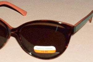 Gafas de sol para mujer Riviera ovaladas marrones forradas bifocales para lectores de sol +1,50 #5 - Imagen 1 de 3