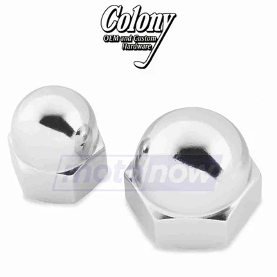 Colony Engine Nut for 1965-1969 Harley Davidson FLFB Electra Glide - Engine yd - Изображение 1 из 4