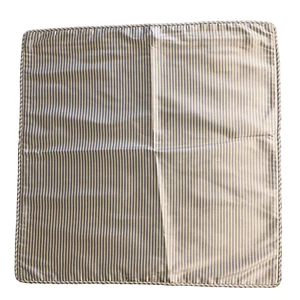 Pottery Barn Euro Kissenbezüge Kissenbezüge 100% Seide 2er Set Reißverschlüsse Streifen blau-grau - Bild 1 von 7