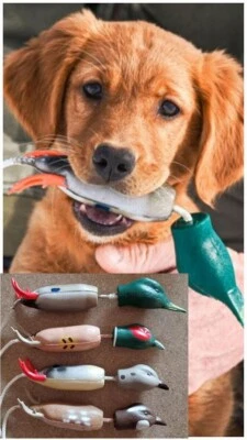 DOKKEN'S Dokken Deadfowl Trainer Puppy Pheasant