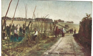 Antique Color Postcard Kentish Hop Pickers England #1813 Brewery, Beer - Picture 1 of 2