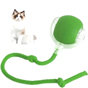 Interactive Rechargeable Cat and Dog Rolling Ball Toy - Smart Pet Entertainment - Picture 1 of 13