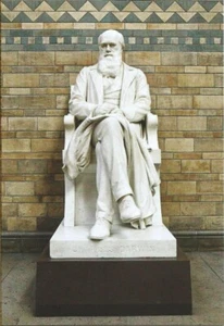 Postal Estatua de Darwin por Joseph E. Boehm Museo de Historia Natural, Londres 1885 Sin usar y sin usar - Imagen 1 de 1