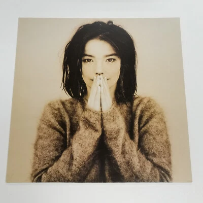 Björk - Debut 1993 Vinyl/LP/Schallplatte - Bild 1 von 4