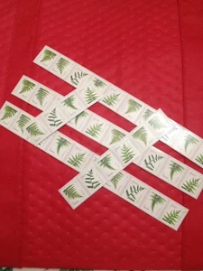 Forever Ferns Coil Various Length Strips (50). Great for wedding postage - Picture 1 of 1