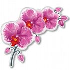 Autoaufkleber Orchidee Blume Rosa Pink Lila Bunt Blüte L159 Sticker 12cm