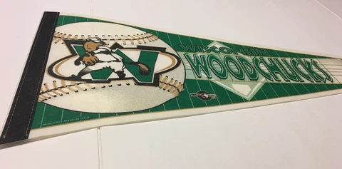Wisconsin Woodchucks Pennant Collectible Mancave Fan Baseball Sports Cover