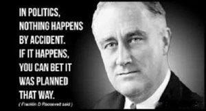 Franklin D. Roosevelt refrigerator magnet 3 1/2 X 4 1/2 " - Picture 1 of 1