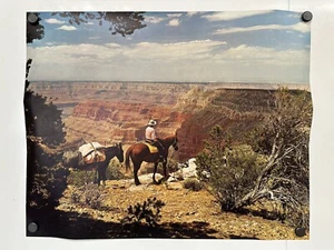 Póster vintage de expedición a caballo con borde del Gran Cañón 16x20 circa 1962 - Imagen 1 de 3