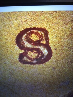 1948 S Lincoln Wheat Penny Error S/S MM ( Copper Coins.com 1MM-005 ) BU RED #2 - Image 1 of 4