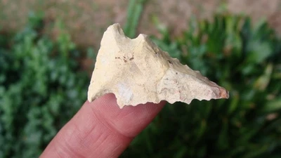 1 1/2 英寸 BOLEN BEVEL 佛罗里达州箭头 ~118 ~ — 第 1/3 张图片