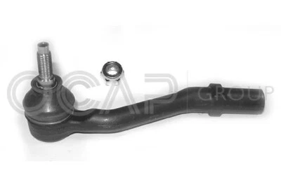 OCAP 0281508 Spurstangenkopf Spurstangenk für Citroen C2 C3 Peugeot 1007 3817.56 - Bild 1 von 4