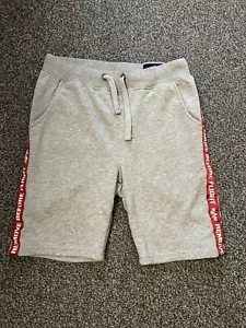 Alpha Industries pantaloncino in jersey grigio medio M - Foto 1 di 6