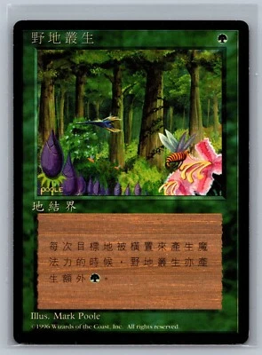 Magic The Gathering CHINESE 4th Edition Wild Growth Black Border MTG FBB TCG - Image 1 of 2