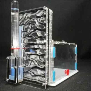 Ameisenfarm mit Futterplatz Insektenameisennest Lehrameise Formicarium Acryl - Bild 1 von 5
