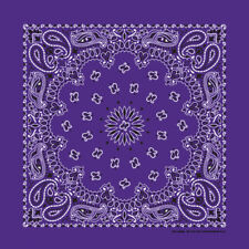 Carolina Creative Bandanna (Purple) Paisley Print 22" x 22" Hav-A-Hank